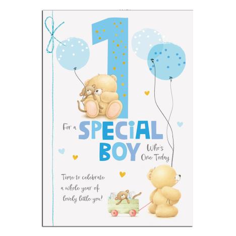 1st Birthday Special Boy Forever Friends Birthday Card